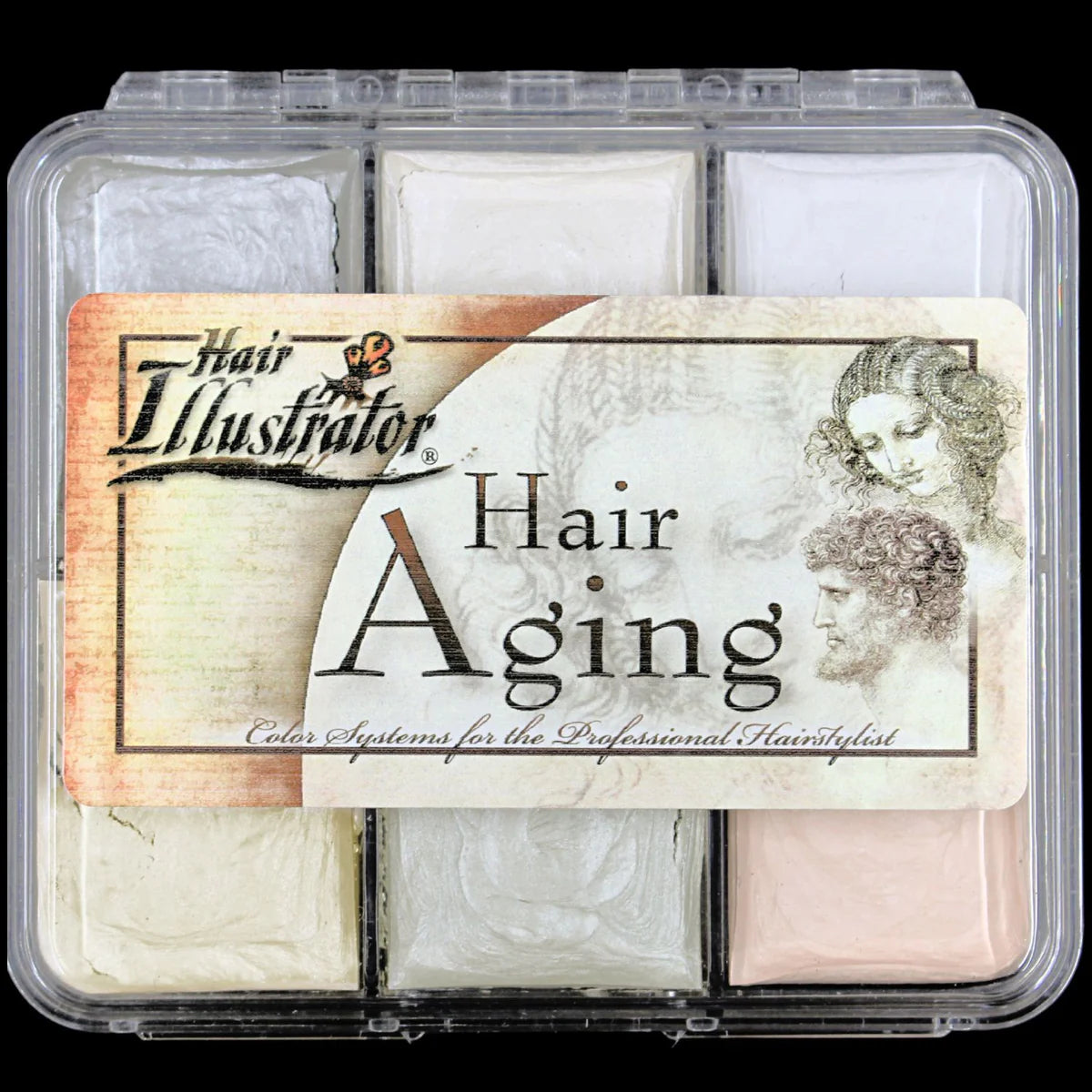Skin Illustrator On Set Hair Aging Palette