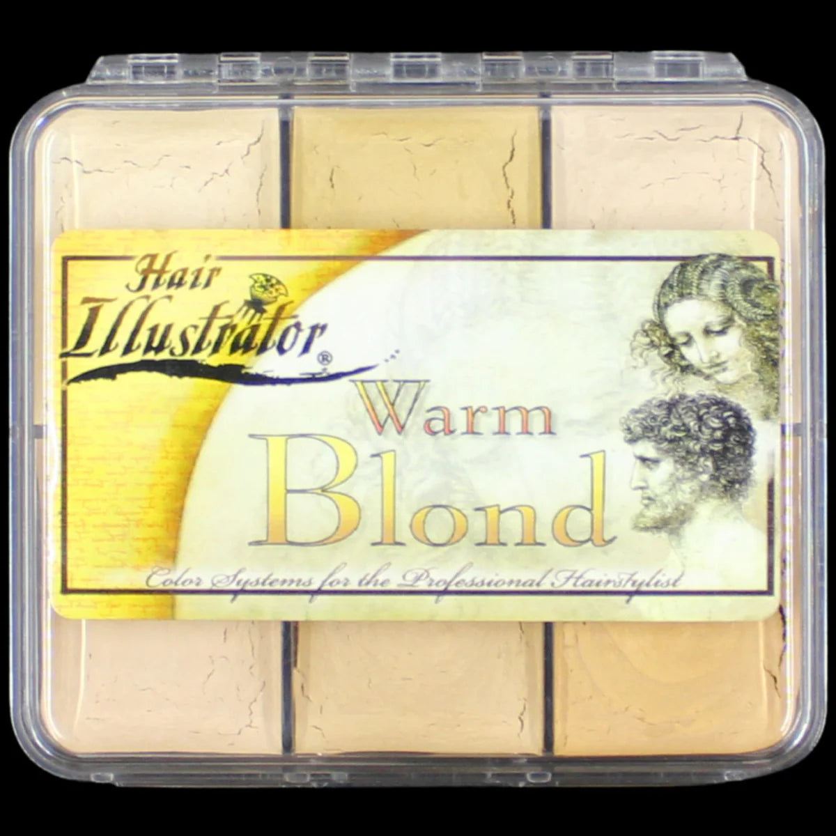 Skin Illustrator On Set Warm Blonde Hair Palette