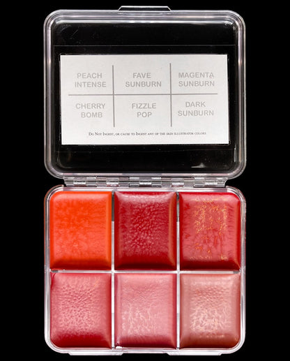 Skin Illustrator On Set Sunburn Palette