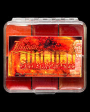 Skin Illustrator On Set Sunburn Palette