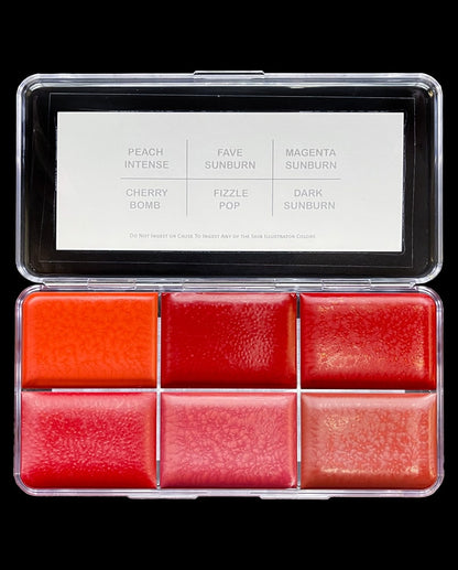 Skin Illustrator Sunburn Palette